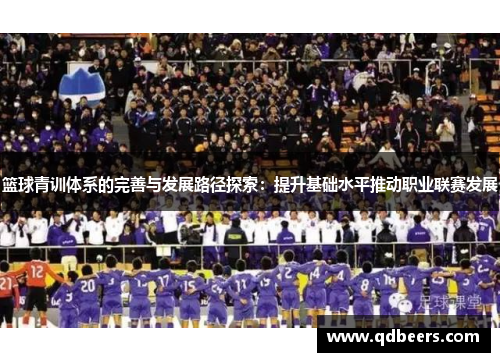 篮球青训体系的完善与发展路径探索：提升基础水平推动职业联赛发展
