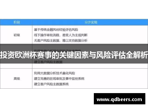 投资欧洲杯赛事的关键因素与风险评估全解析