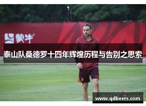 泰山队桑德罗十四年辉煌历程与告别之思索 泰山队桑德罗十四年辉煌历程与告别之思索