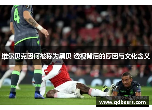 维尔贝克因何被称为黑贝 透视背后的原因与文化含义